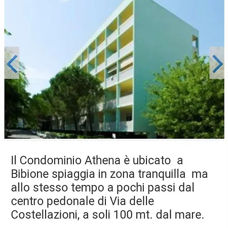 Athena Bibione